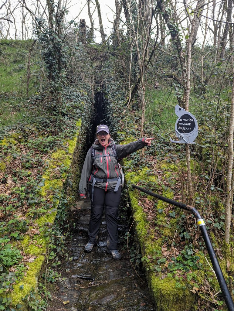 d7938343-fd9f-4b52-a8b9-bfd6832e4c55-1_all_26081