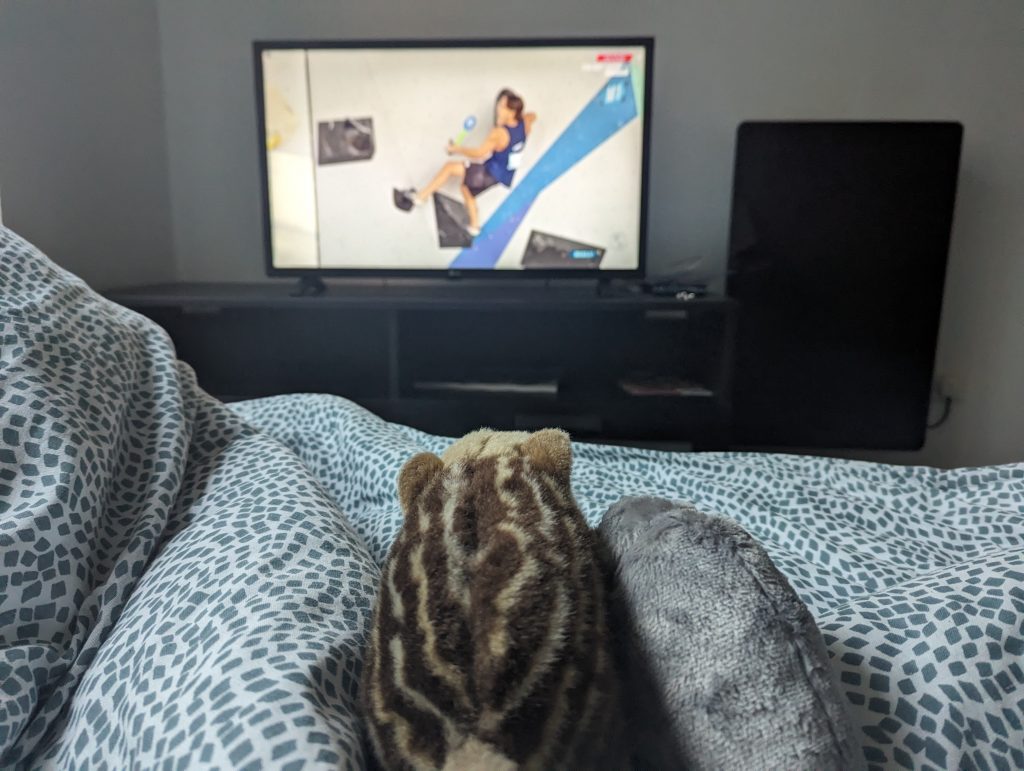 d7938343-fd9f-4b52-a8b9-bfd6832e4c55-1_all_26107