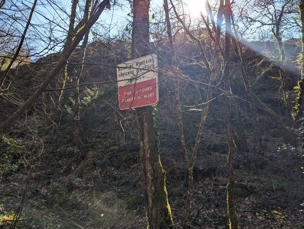 d7938343-fd9f-4b52-a8b9-bfd6832e4c55-1_all_26295