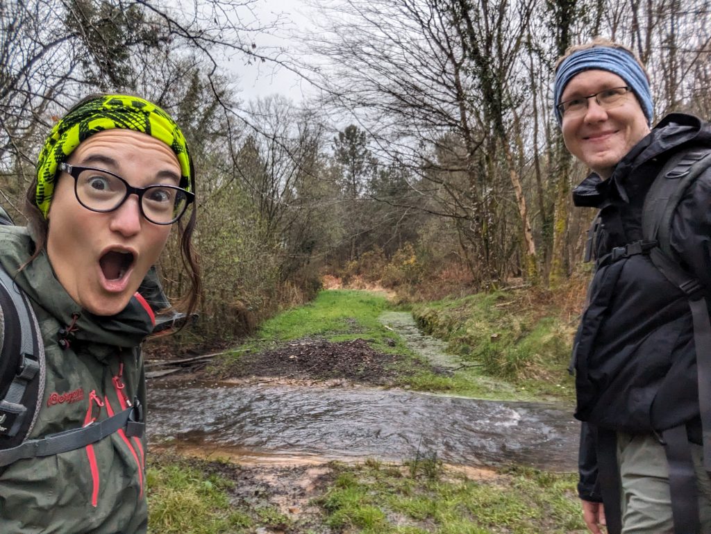 d7938343-fd9f-4b52-a8b9-bfd6832e4c55-1_all_26330