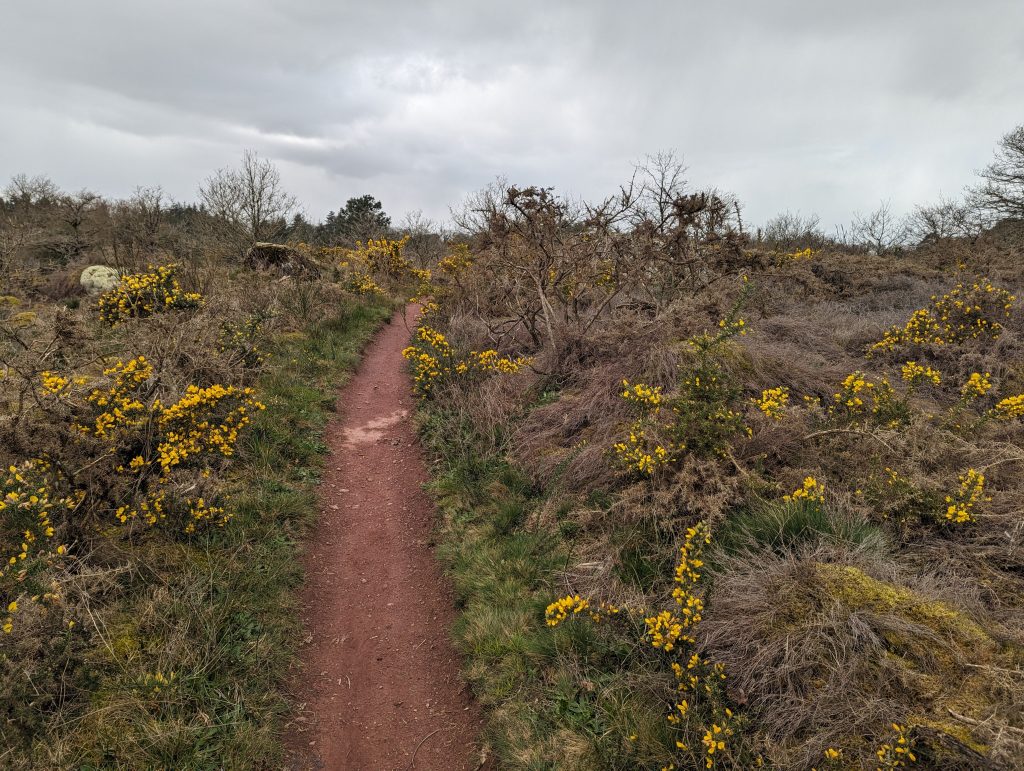 d7938343-fd9f-4b52-a8b9-bfd6832e4c55-1_all_26392