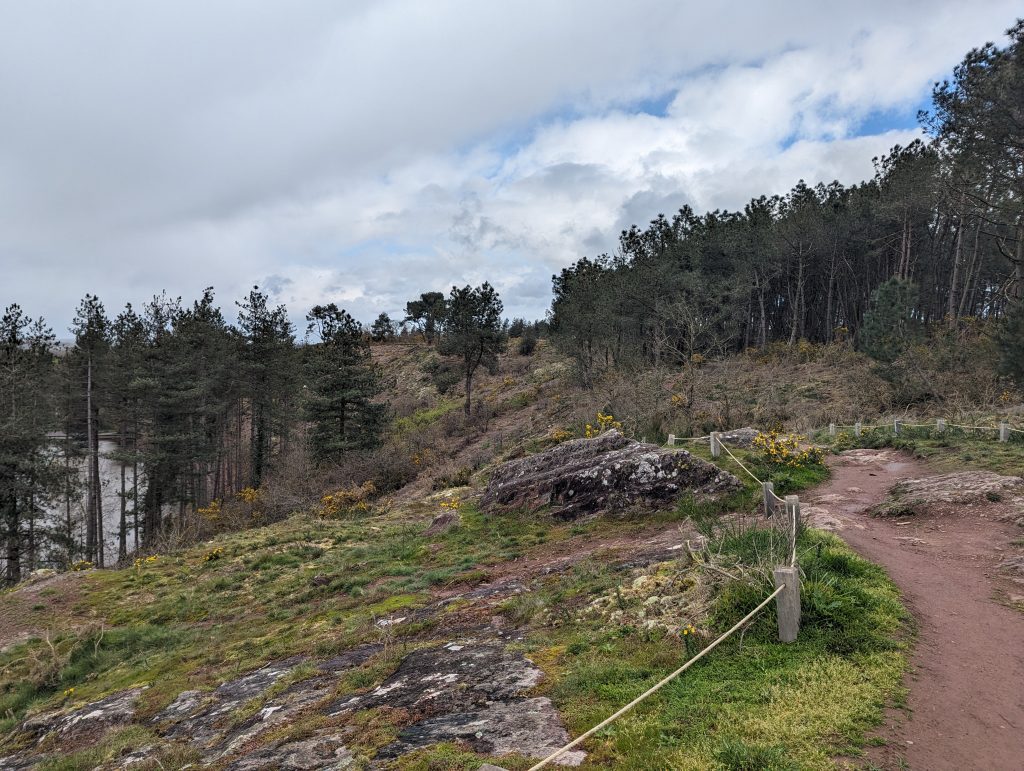 d7938343-fd9f-4b52-a8b9-bfd6832e4c55-1_all_26399