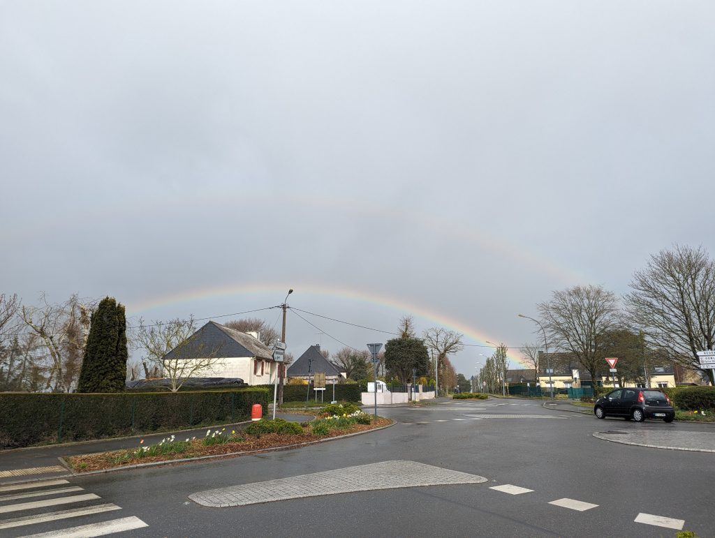 d7938343-fd9f-4b52-a8b9-bfd6832e4c55-1_all_26447