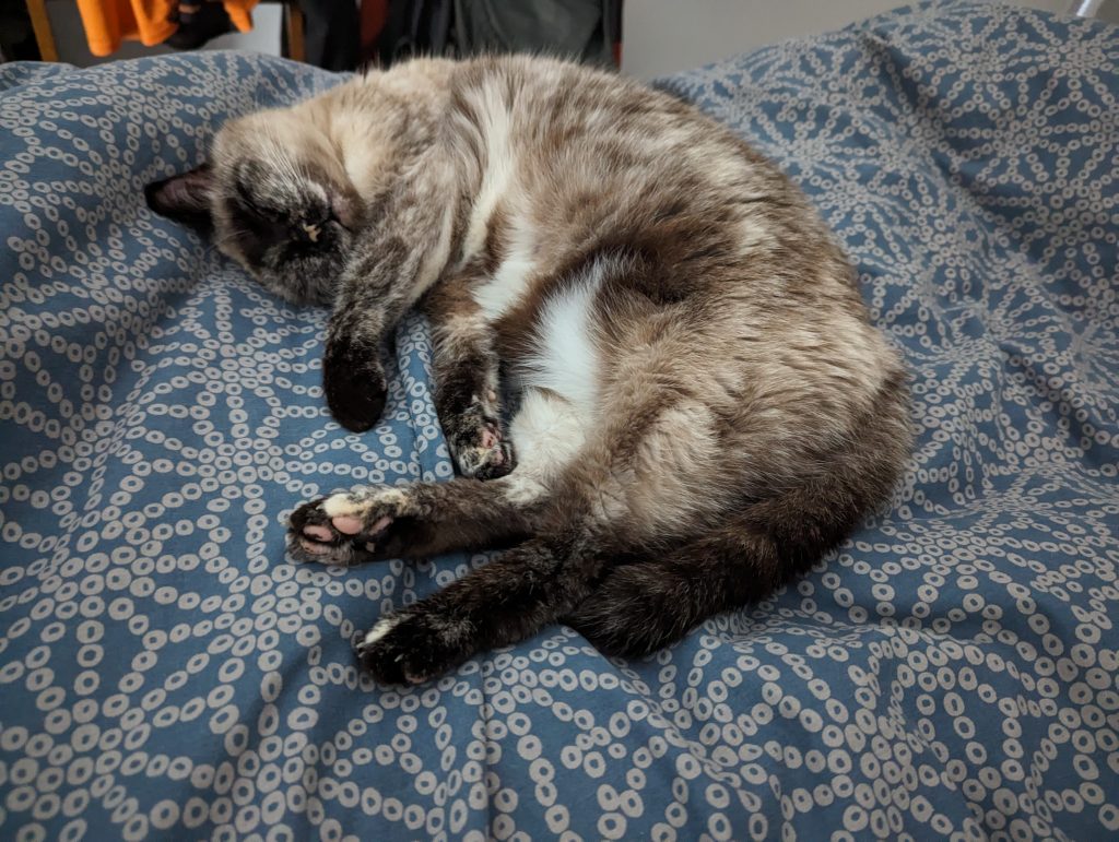 d7938343-fd9f-4b52-a8b9-bfd6832e4c55-1_all_26514