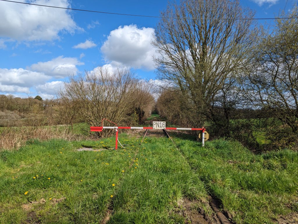 d7938343-fd9f-4b52-a8b9-bfd6832e4c55-1_all_26564